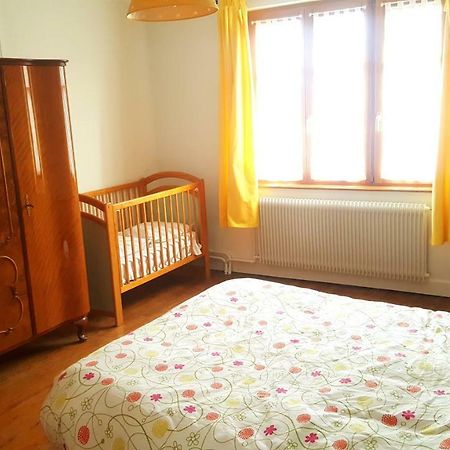 Vignobles Frey-Sohler Apartman Scherwiller Kültér fotó
