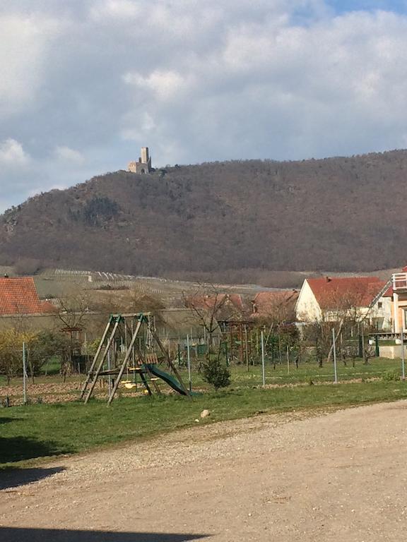 Vignobles Frey-Sohler Apartman Scherwiller Kültér fotó