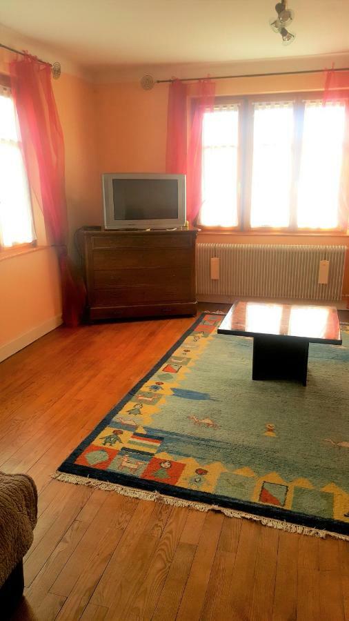 Vignobles Frey-Sohler Apartman Scherwiller Kültér fotó
